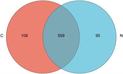 N-carbamylglutamate supplementation regulates hindgut microbiota composition and short-chain fatty acid contents in Charollais and Small Tail Han crossbred sheep